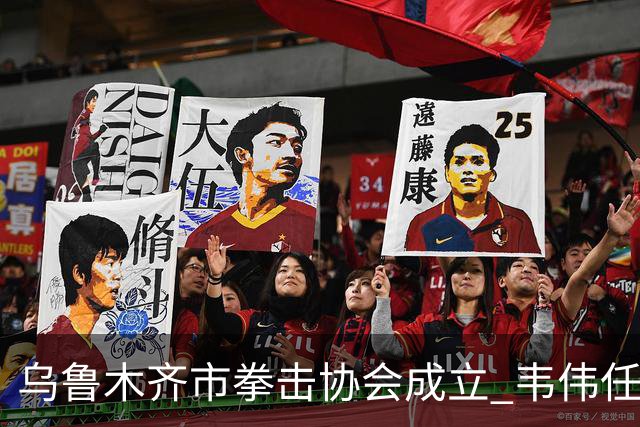 乌鲁木齐市拳击协会成立 韦伟任会长